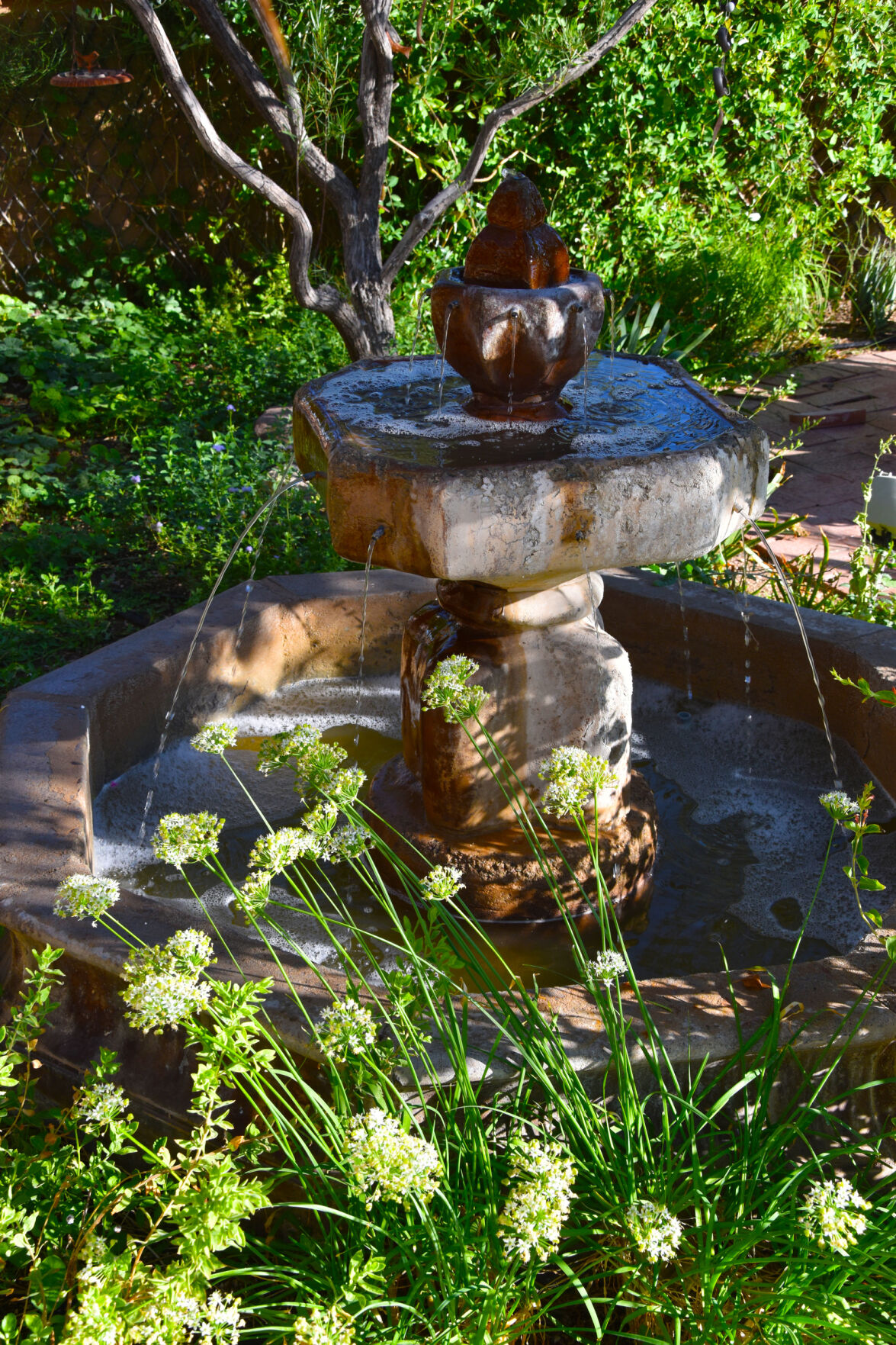 2023 Master Gardener Home Garden Show